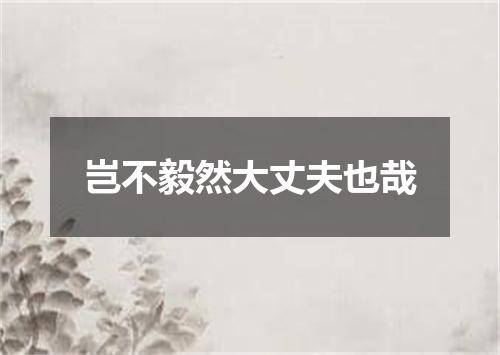 岂不毅然大丈夫也哉