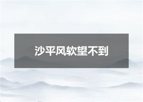 沙平风软望不到