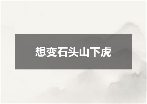 想变石头山下虎