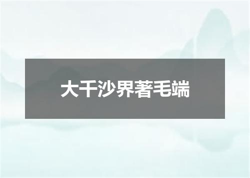大千沙界著毛端