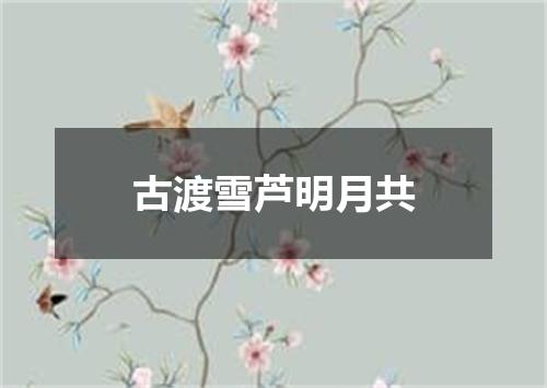 古渡雪芦明月共