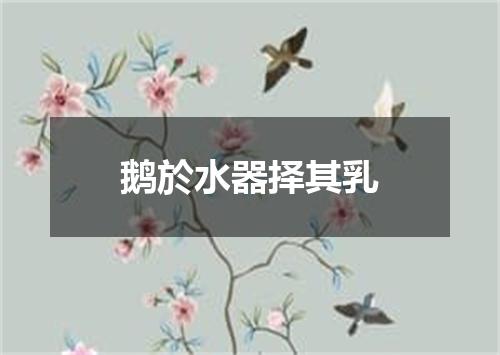 鹅於水器择其乳