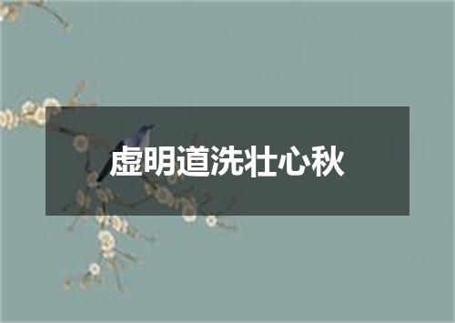 虚明道洗壮心秋