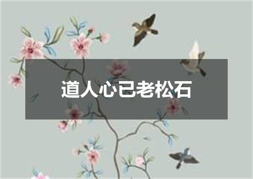 道人心已老松石