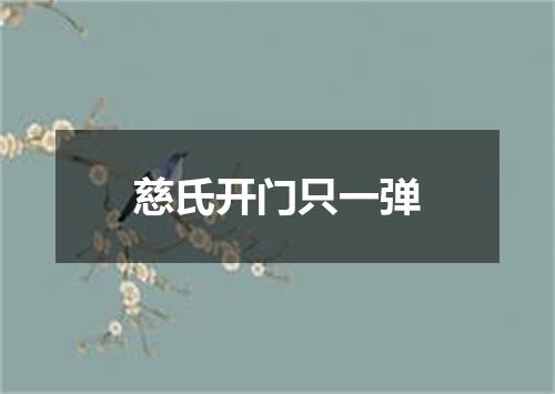 慈氏开门只一弹