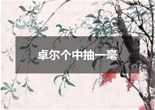 卓尔个中抽一毫
