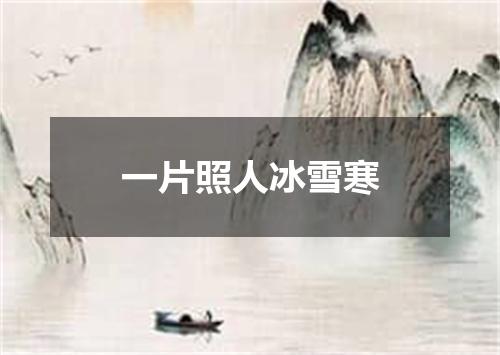 一片照人冰雪寒