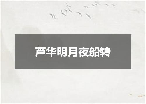 芦华明月夜船转