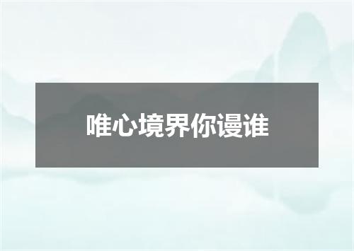 唯心境界你谩谁