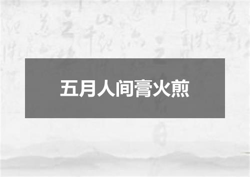 五月人间膏火煎
