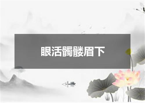 眼活髑髅眉下