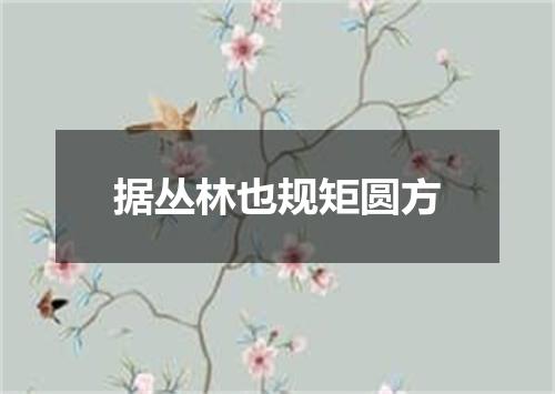 据丛林也规矩圆方