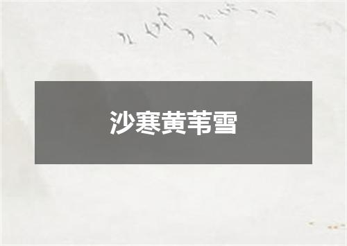 沙寒黄苇雪