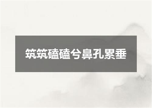 筑筑磕磕兮鼻孔累垂