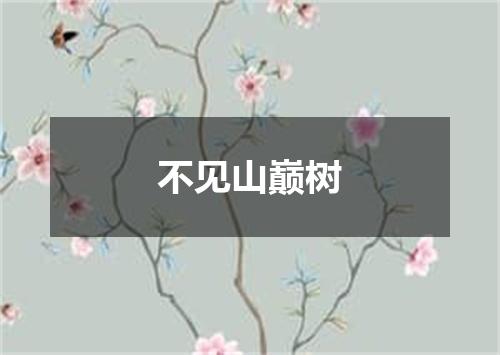 不见山巅树