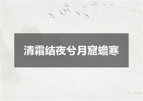 清霜结夜兮月窟蟾寒