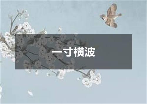 一寸横波
