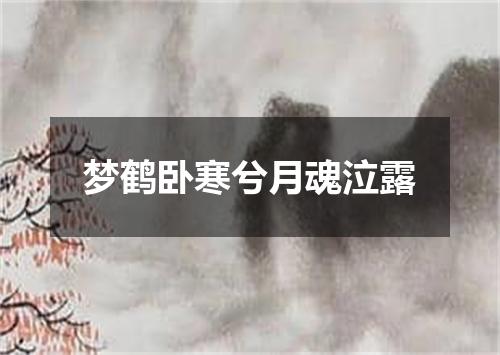 梦鹤卧寒兮月魂泣露