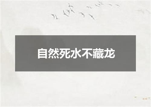 自然死水不藏龙