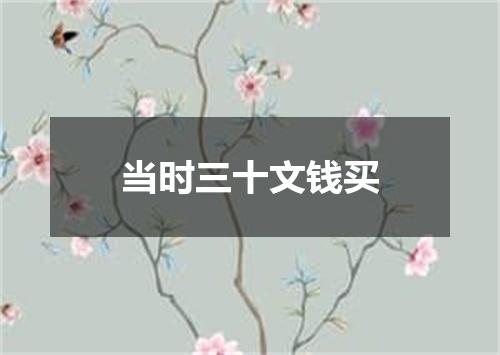 当时三十文钱买