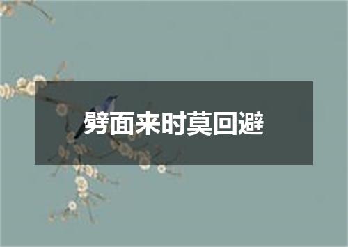 劈面来时莫回避
