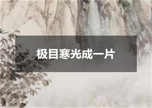 极目寒光成一片
