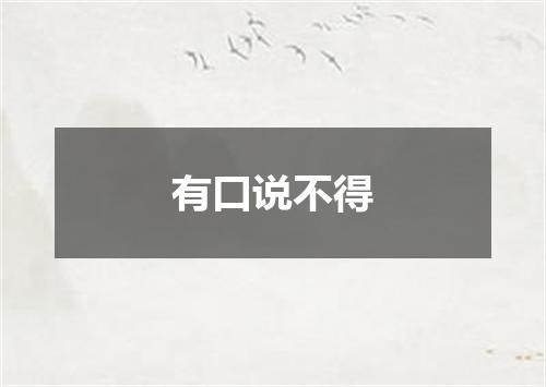 有口说不得