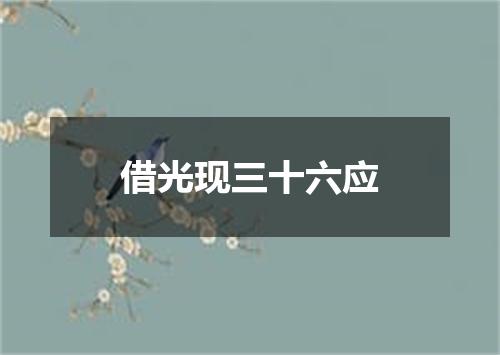 借光现三十六应