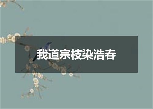 我道宗枝染浩春