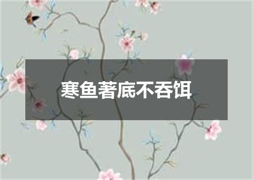 寒鱼著底不吞饵