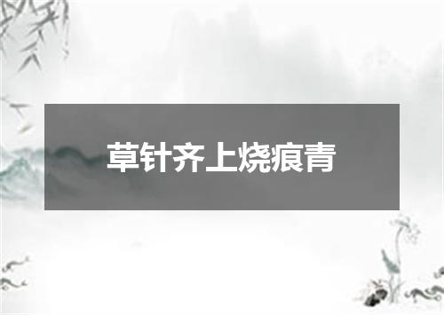草针齐上烧痕青