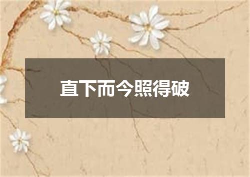 直下而今照得破