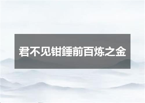 君不见钳錘前百炼之金