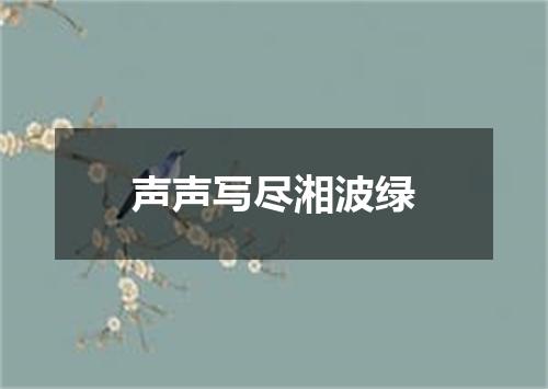 声声写尽湘波绿
