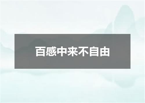 百感中来不自由