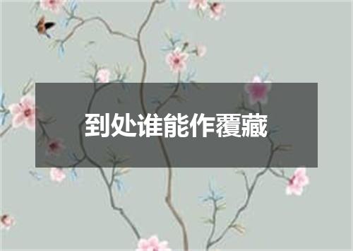 到处谁能作覆藏
