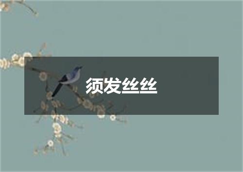 须发丝丝