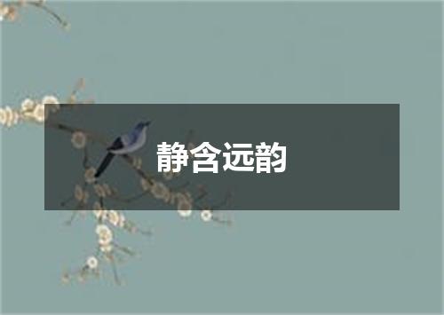 静含远韵