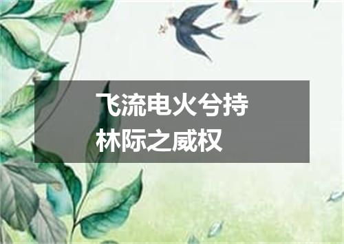 飞流电火兮持林际之威权