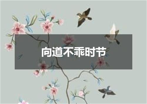 向道不乖时节