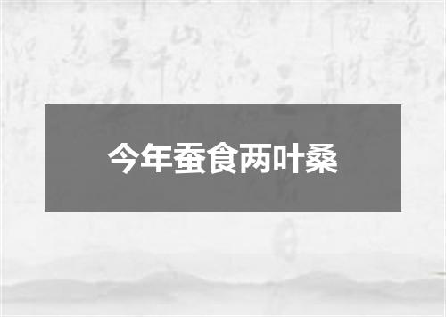 今年蚕食两叶桑
