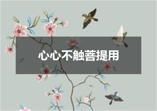 心心不触菩提用