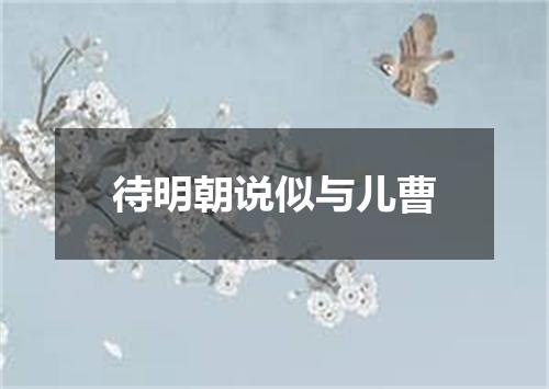 待明朝说似与儿曹