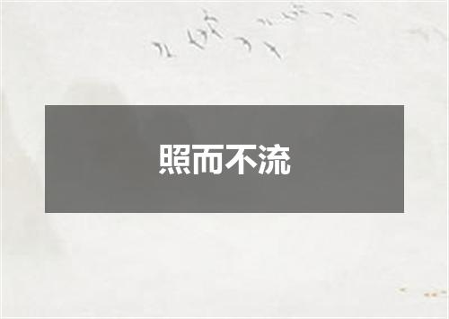 照而不流