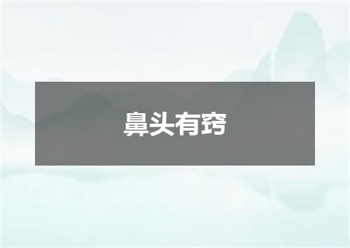 鼻头有窍