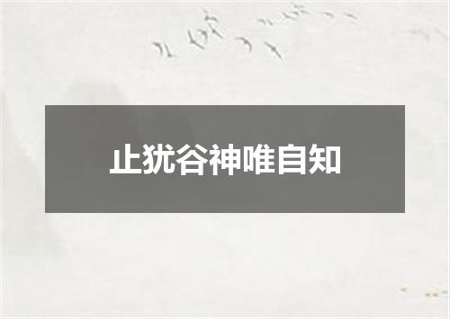 止犹谷神唯自知