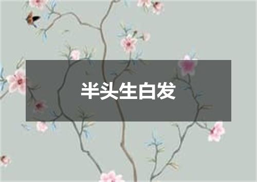 半头生白发