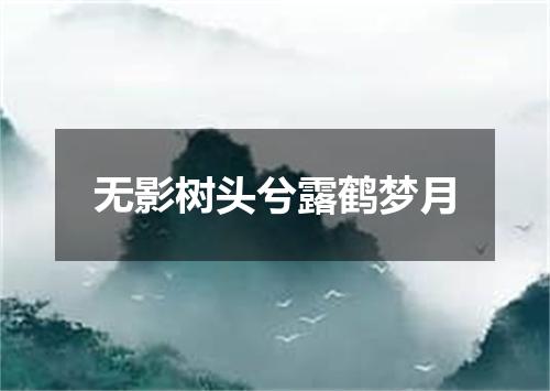 无影树头兮露鹤梦月