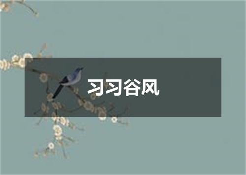 习习谷风