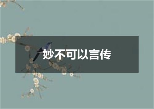 妙不可以言传
